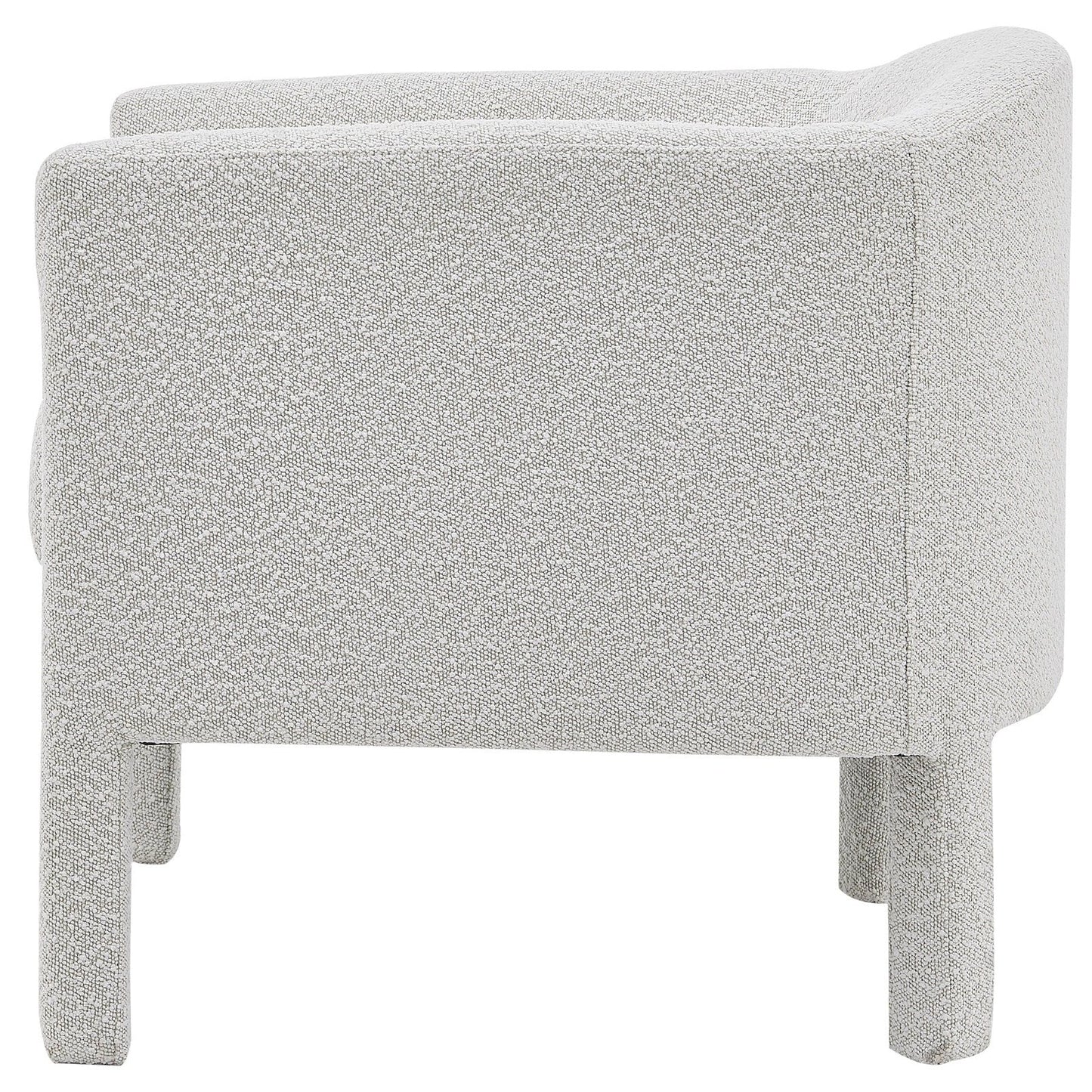 New Pacific Direct Jennifer Fabric Accent Arm Chair  - 1900171-563