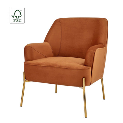New Pacific Direct Arianna Velvet Fabric Accent Arm Chair 1900183-565 - 1900183-565