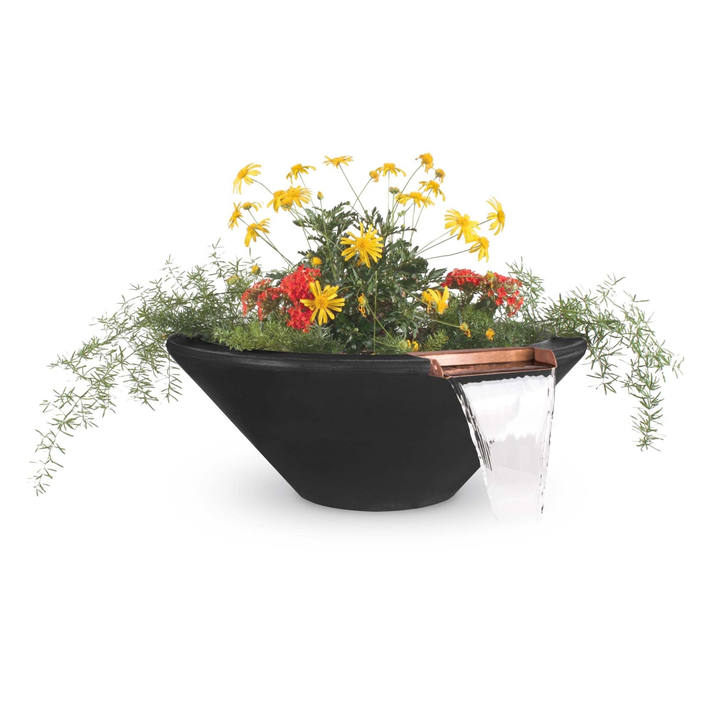 CazoPlanterBowlwithWater-Black