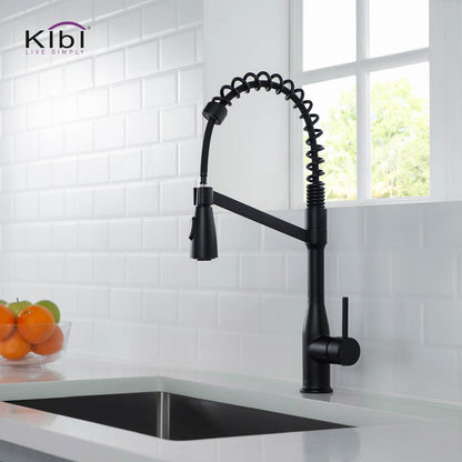 Kibi Largo Single Handle Pull Down Kitchen Faucet in Matte Black Finish - KKF2006MB