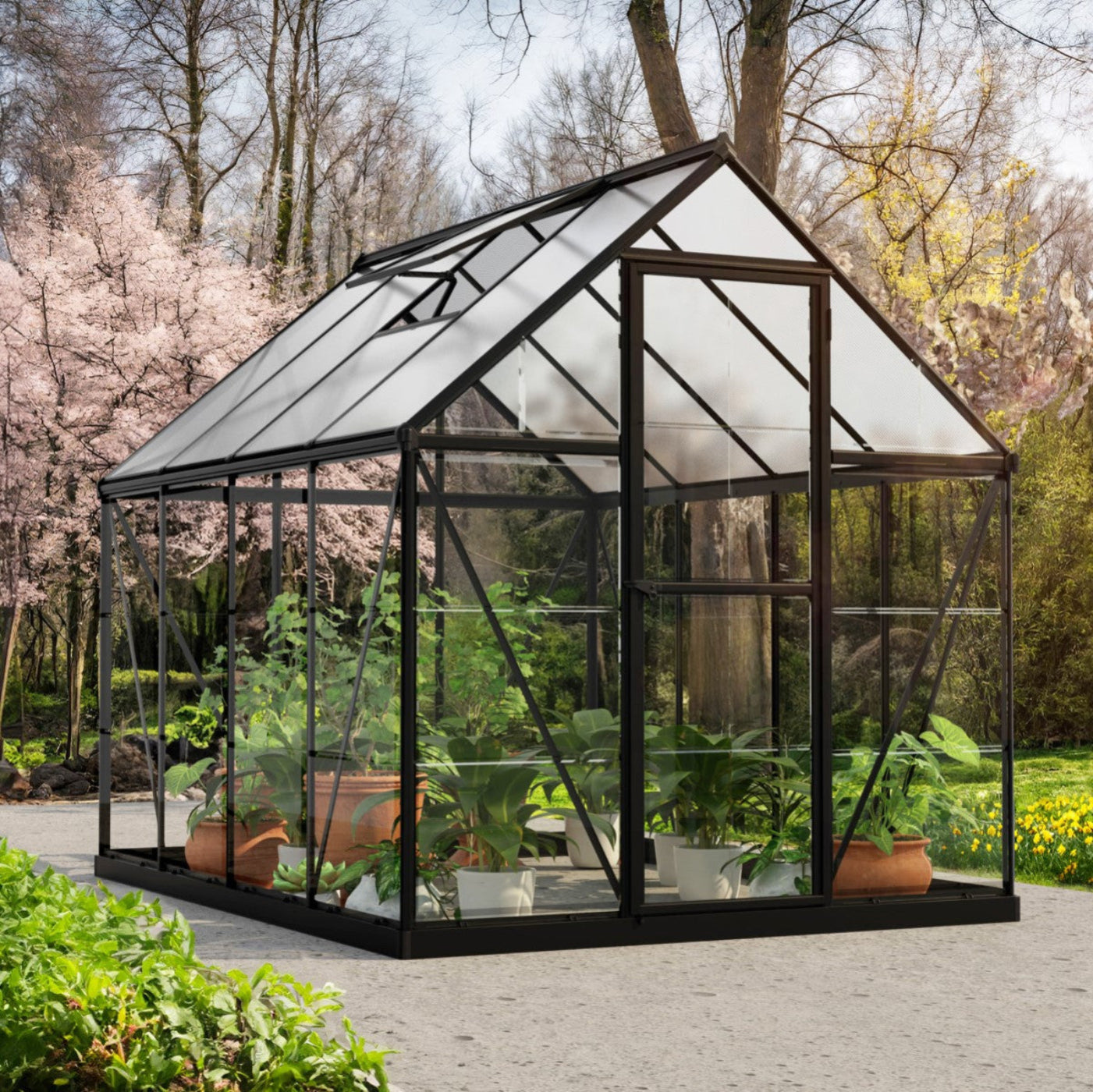 Palram - Canopia | Hybrid 6x8 ft - Black Frame With Polycarbonate Hybrid Panels - HG5508K