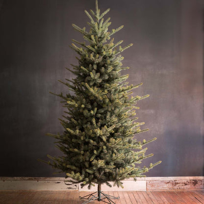 Park Hill Collection Tree Lot 10' Park Hill Blue Spruce LED Lights - XPQ82162