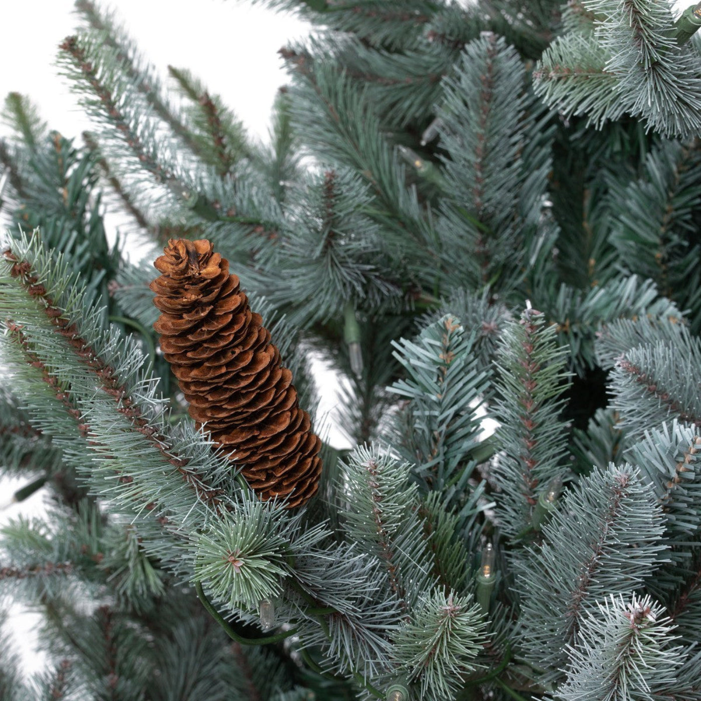 Park Hill Collection Tree Lot 7.5' Park Hill Slim Line Blue Spruce LED Lights - XPQ82170