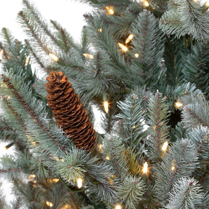 Park Hill Collection Tree Lot 12' Slim Blue Spruce Tree with LED Lights - XPQ90688