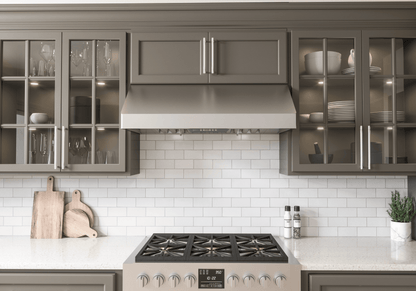 ZEPHYR Tempest I, 11in UC, 42in, SS, LED, ACT in Stainless Steel - AK7042CS