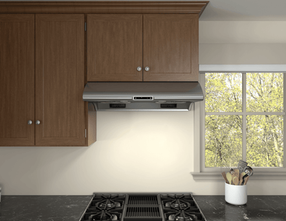 ZEPHYR Typhoon, UC, 48in, SS, LED, ACT in Stainless Steel - AK2148CS