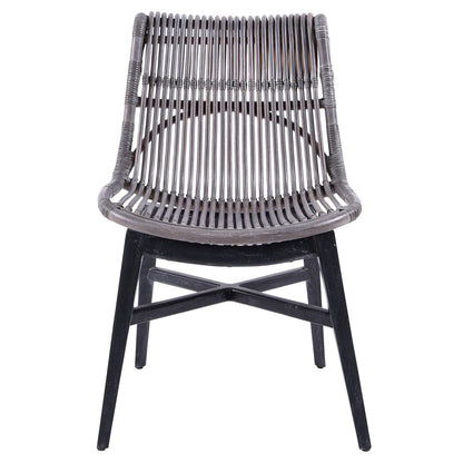New Pacific Direct Iria Rattan Chair, (Set of 2) -  7100002
